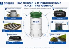 Зорде Рейн 10 Миди