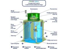 Гринлос Аква 8